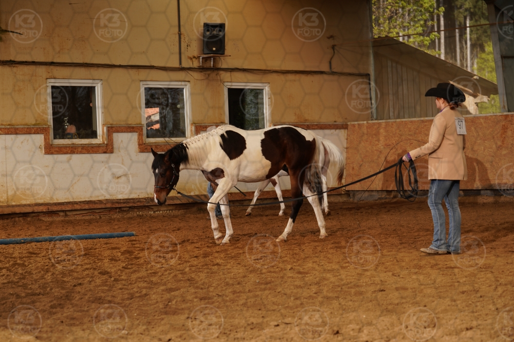 s_A9_09907.jpg